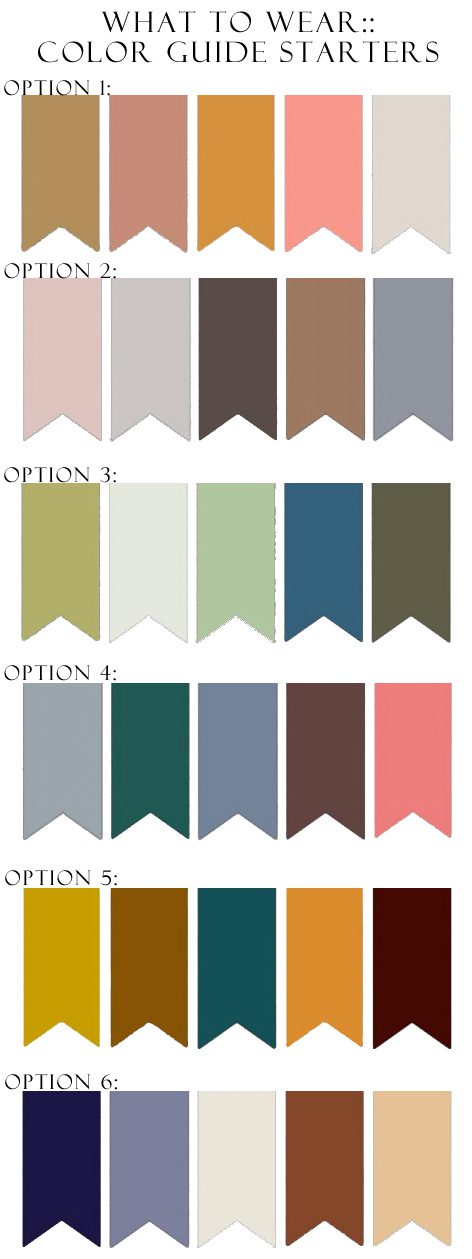 color-guide-options